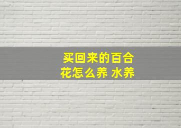 买回来的百合花怎么养 水养